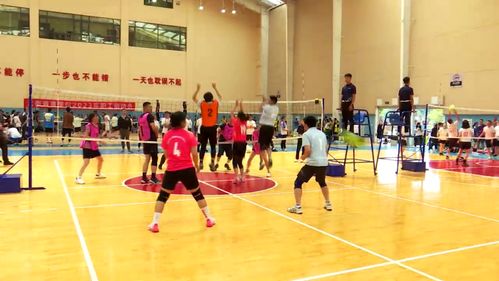 科技賦能，全民健身 免費開放引領健康新時代